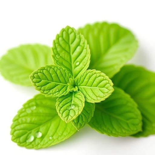 Peppermint Oil
